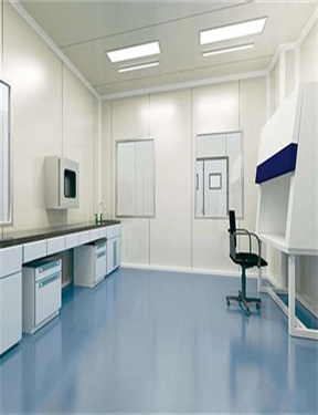 棗莊ZZ61106報名報告生成管理系統